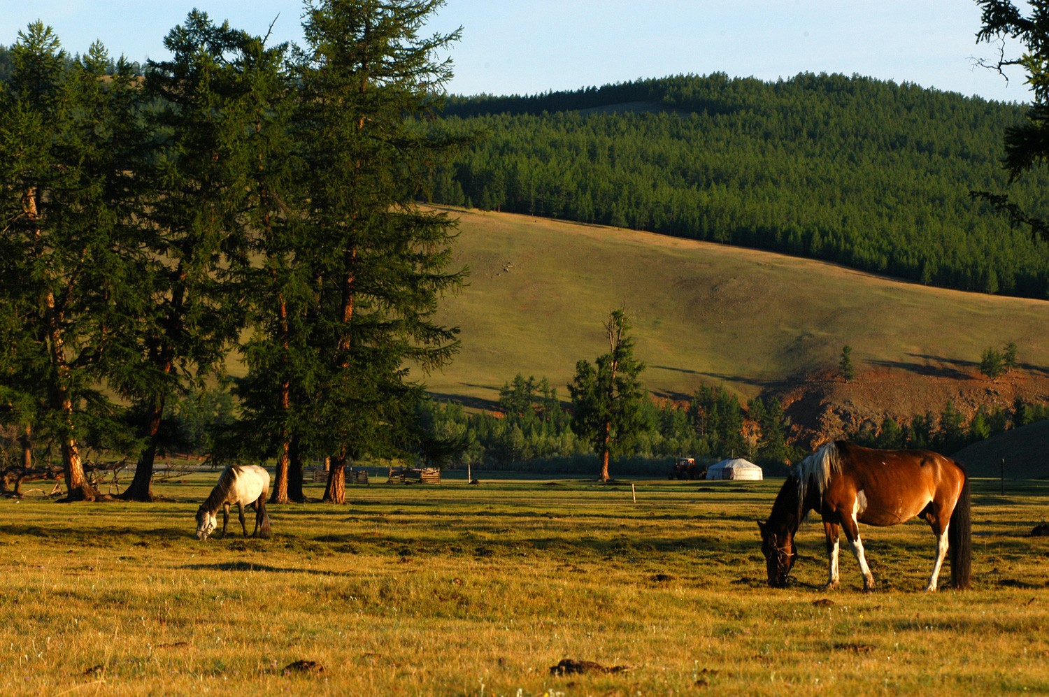 Terelj Horse Riding