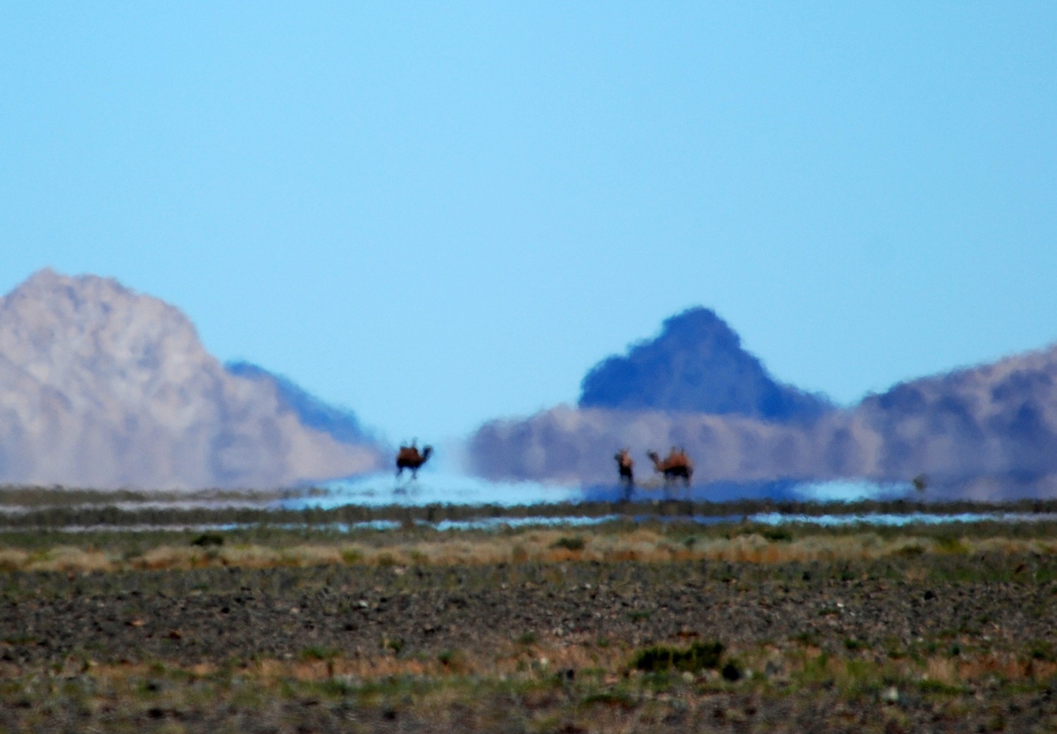 Grand Gobi Experience